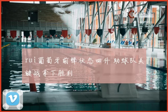 rui葡萄牙前锋状态回升 助球队关键战拿下胜利