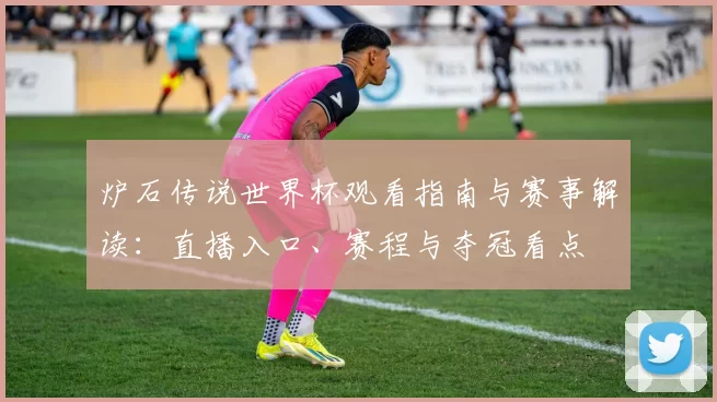 炉石传说世界杯观看指南与赛事解读：直播入口、赛程与夺冠看点