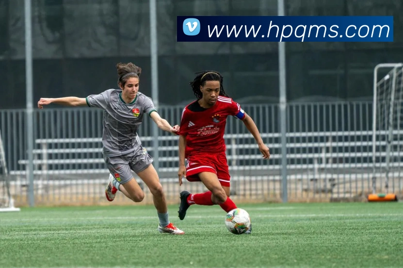mksports官方登录入口平台生态图